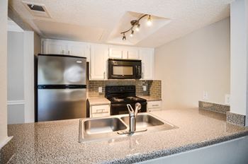 Stainless Steel and Black Appliances at The Baxter at Westwood, Texas